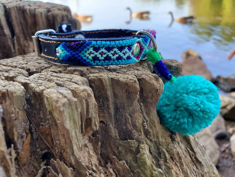 SMALL Leather Pet Collar