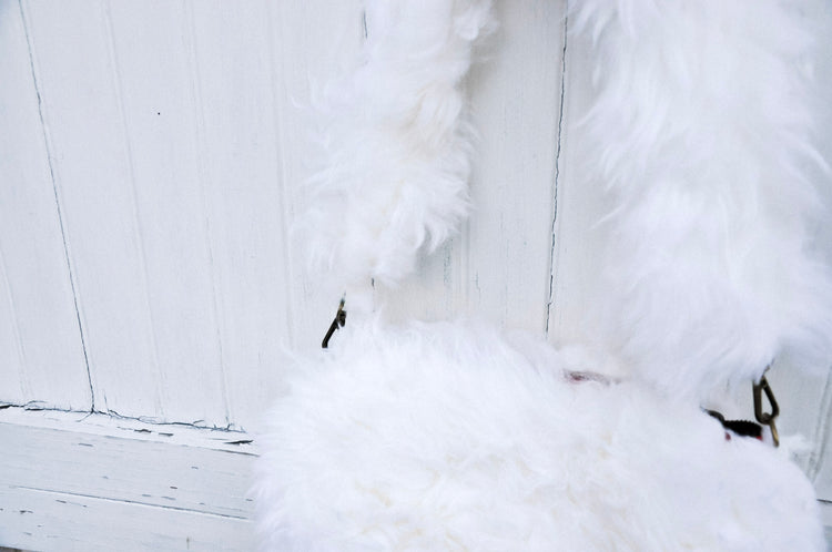 Mini Shae Sherpa Crossbody