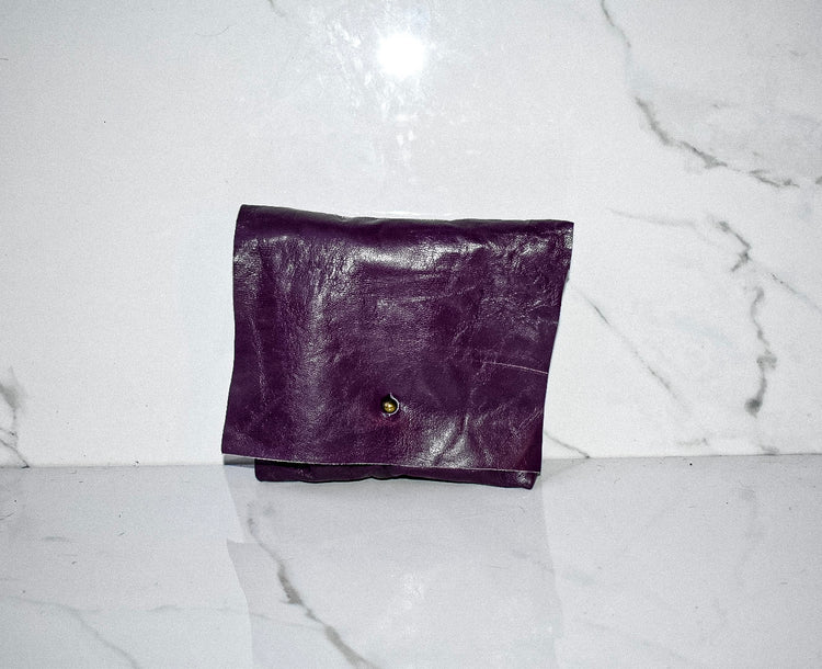 Polly Purple Pouch