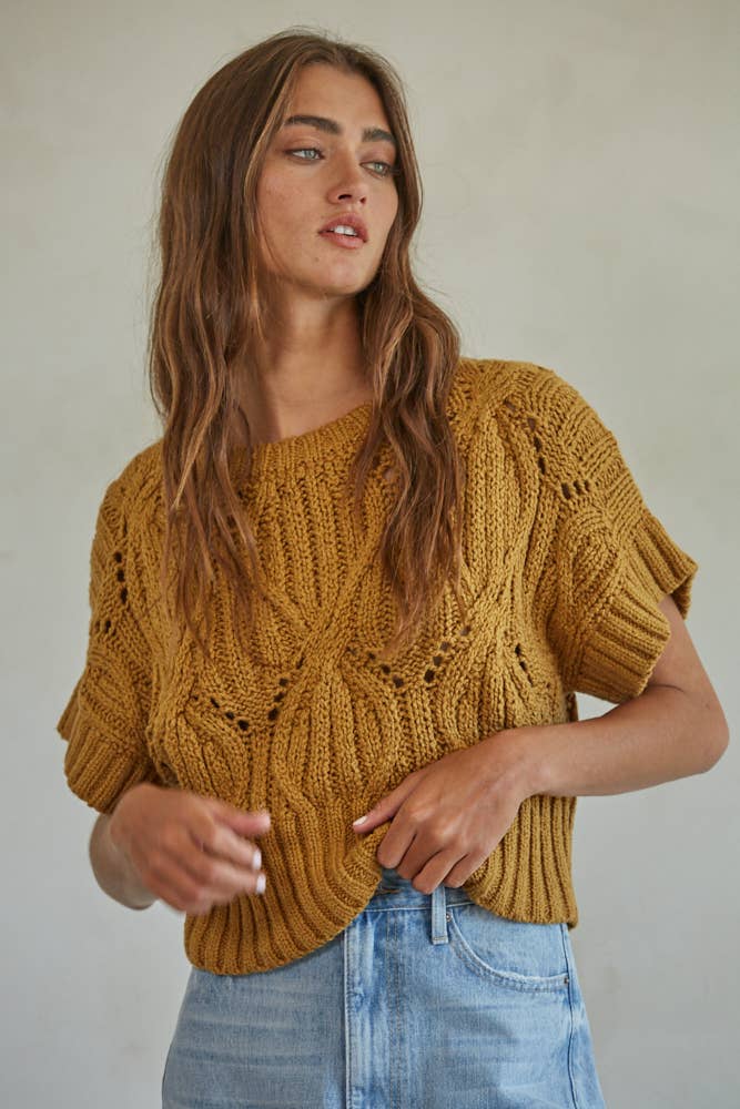 Knit Sweater Crochet Round Neck Short Sleeve Top