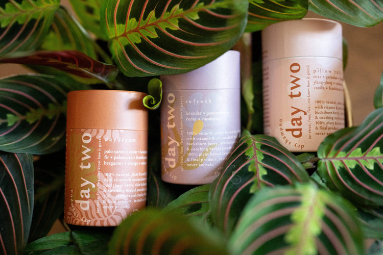 Day two • 100% natural dry shampoo