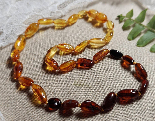 Fancy OMBRE Baltic Amber Bean Necklace w/ Tag Cert & GIA ♥️