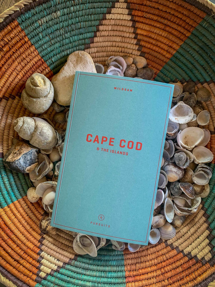 Cape Cod & the Islands Field Guide