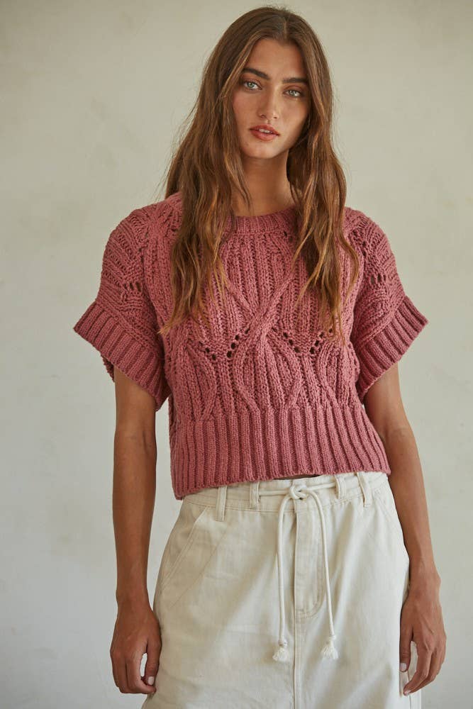 Knit Sweater Crochet Round Neck Short Sleeve Top