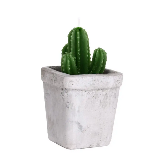 Helio Ferretti- Cactus Candle
